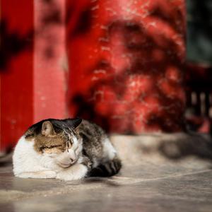 国产清纯女学生被弄高潮的小说
